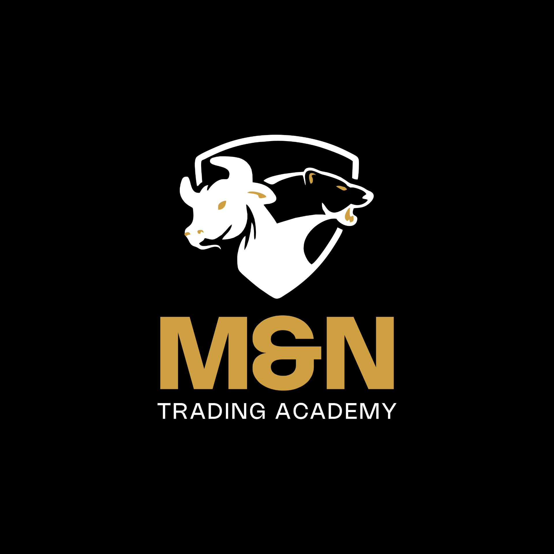 M & N Trading Academy